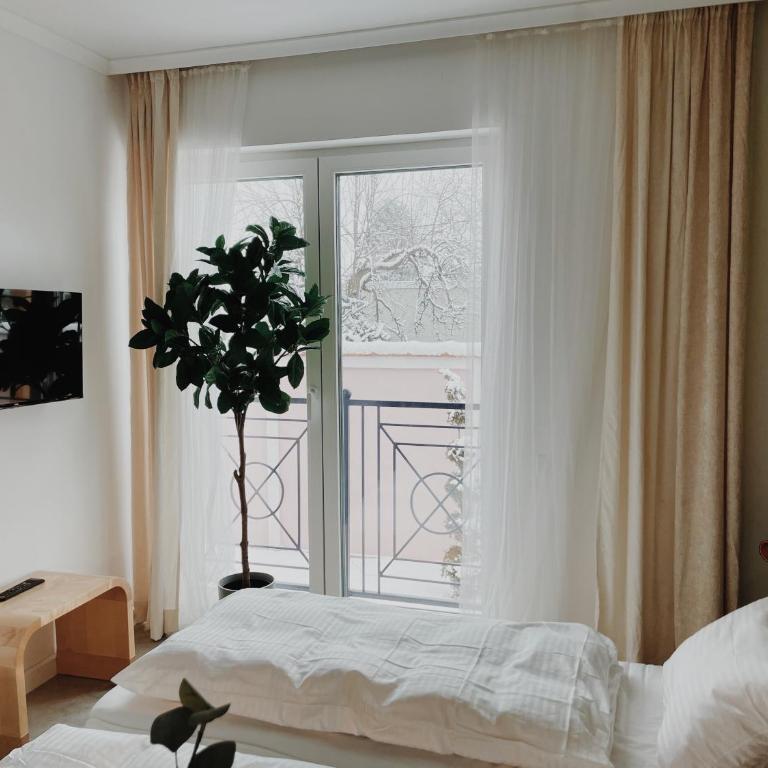 Anna apartment - Two-Bedroom Apartment - 1
