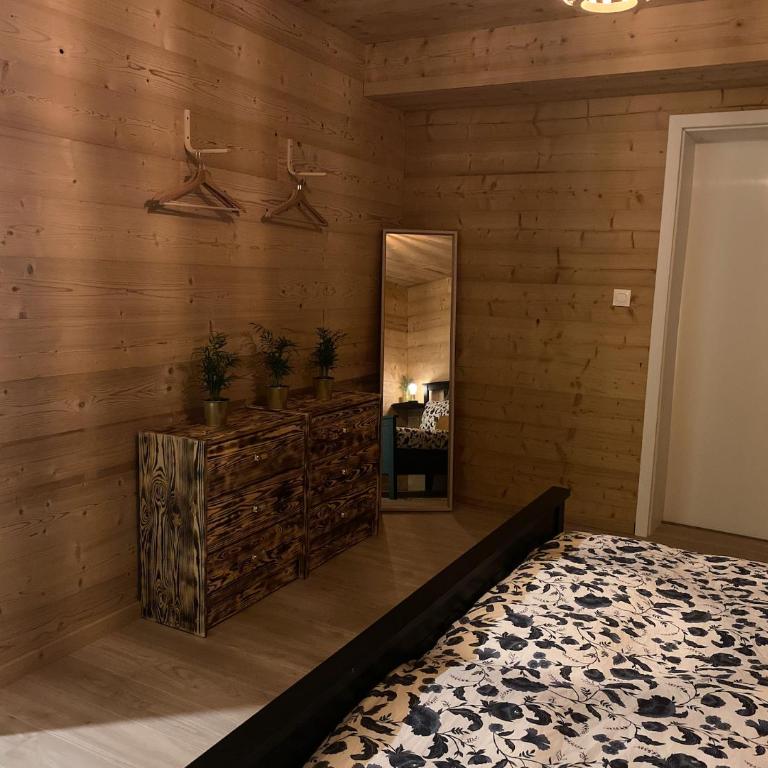 Le renard-Vue Panoramique La bresse-Gerardmer - Two-Bedroom Apartment - 12