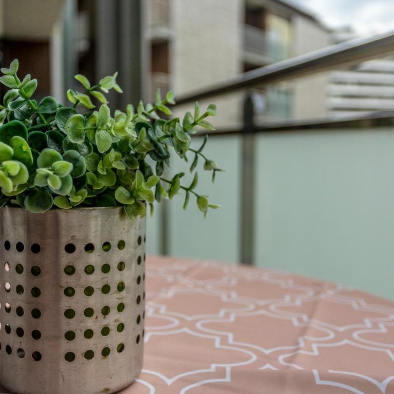 Paseo Antzieta 31. 1E - Apartamento - 34