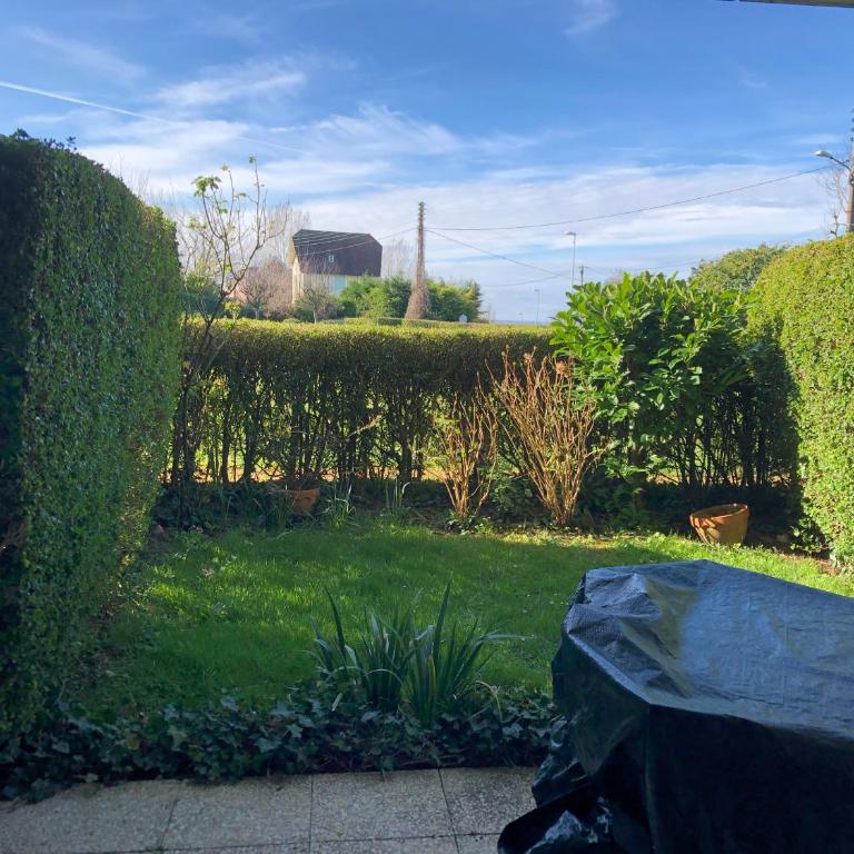 2 pièces en Rez de jardin -"Le Petit Nid" à Trouville - Appartement 1 Chambre - 33
