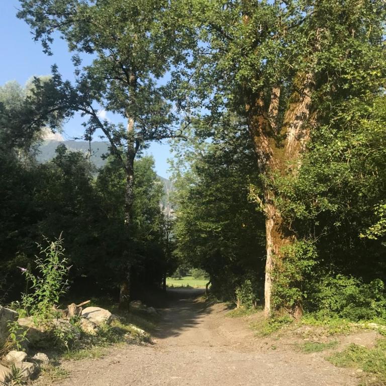 Petit cocon entre lac, golf et montagne, proche d'Annecy - Appartement avec Terrasse - 43