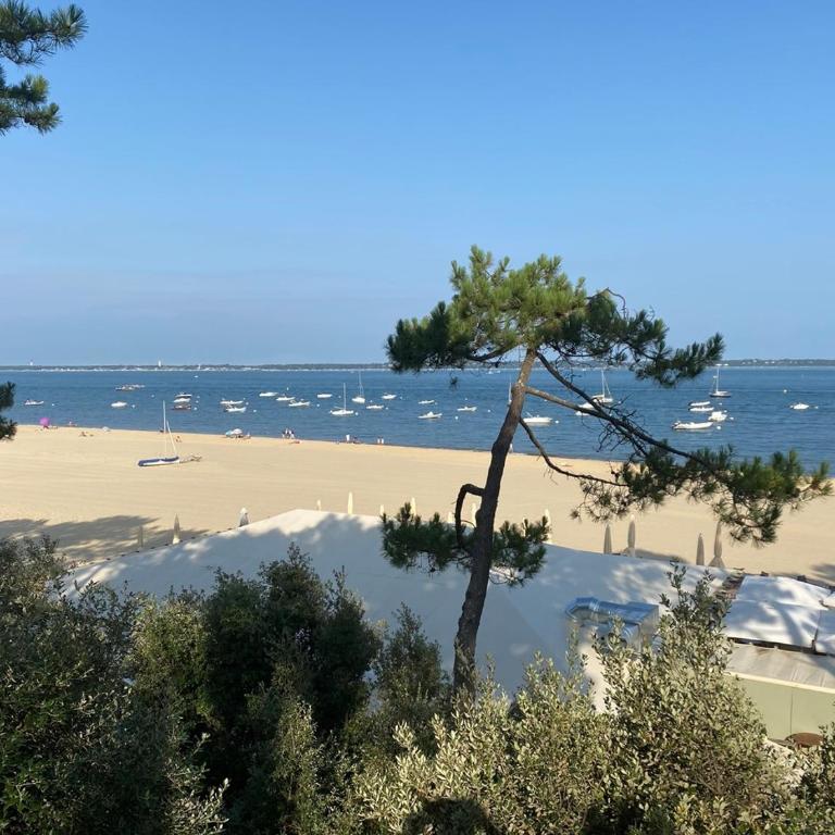 Appartement de standing 4 étoiles plage Pereire à pied 100m - Appartamento con 1 Camera da Letto - 14