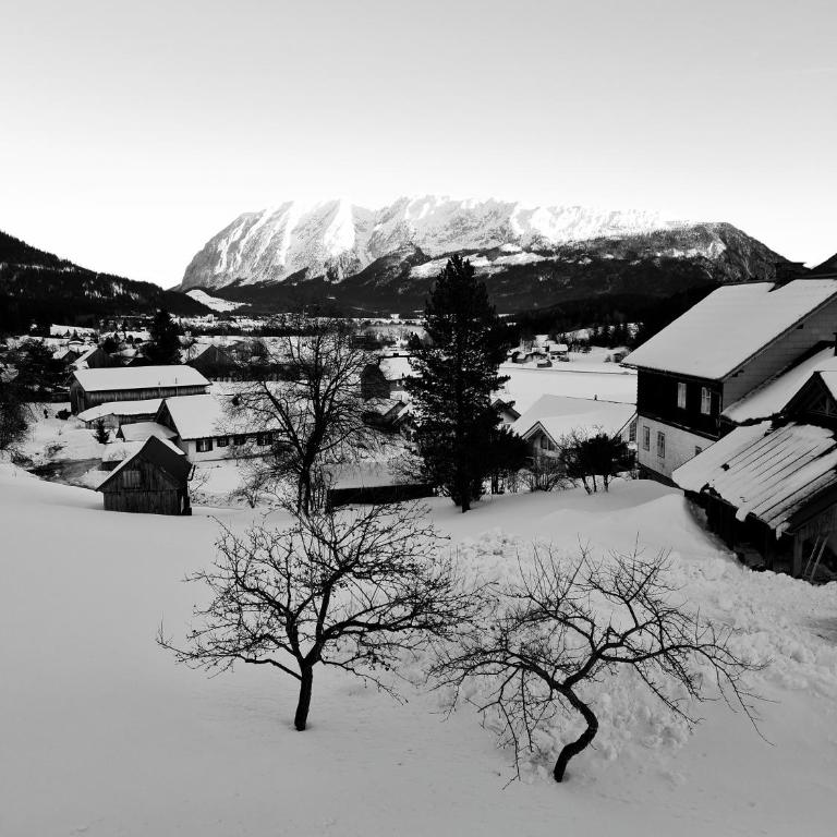 Ferienwohnungen Bergpanorama - Apartment - 12