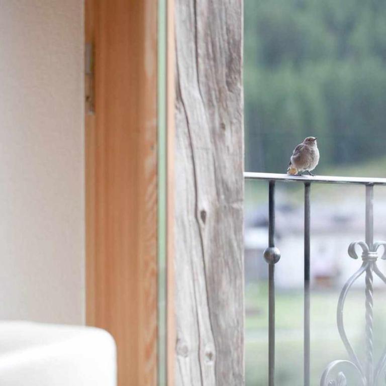 Appartamenti Green by Livigno Accomodation - Appartamento Deluxe con Sauna - 19