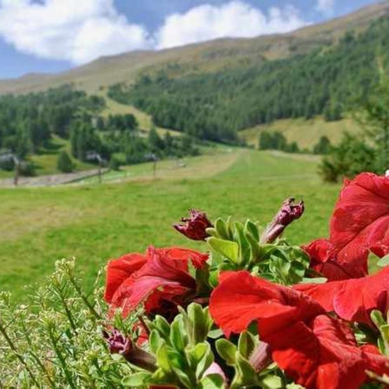 Baita Epi Cusini by Livigno Accomodation - Appartamento con 1 Camera da Letto - 15