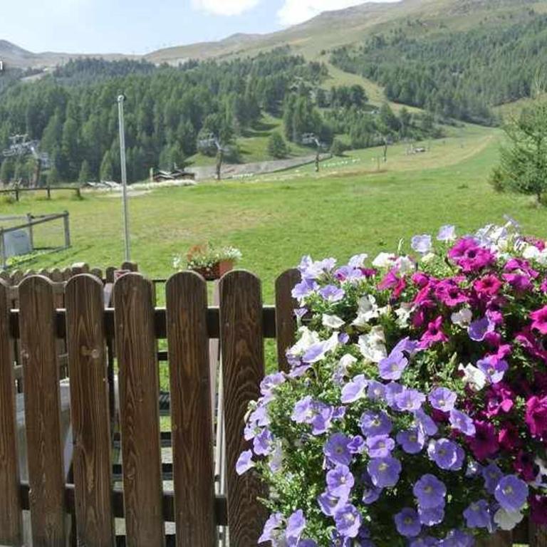 Baita Epi Cusini by Livigno Accomodation - Appartamento con 1 Camera da Letto - 24