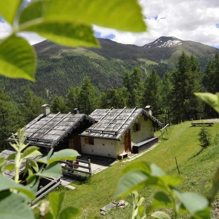 Baita Hanzel & Gretel by Livigno Accomodation - Chalet Superior - 1