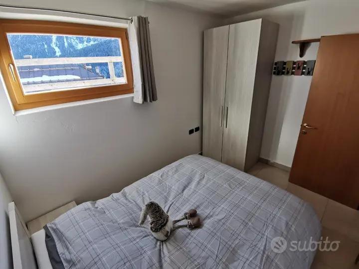 Spazioso trilocale sulle piste da sci - Two-Bedroom Apartment - 8