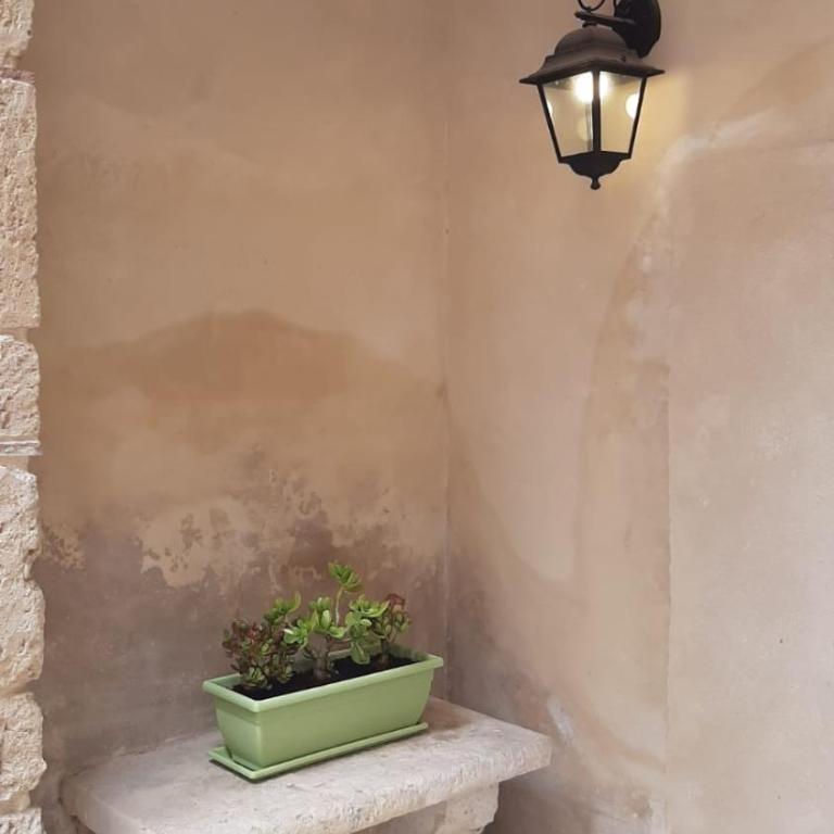 Flower house - Appartamento - Piano Terra - 16