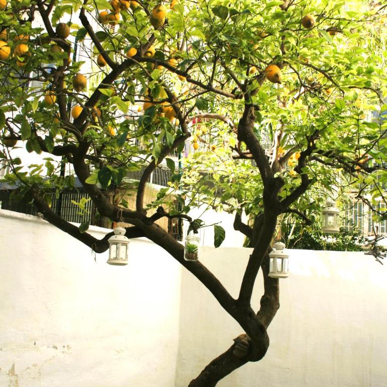 Willkommen in einem private garden - Appartamento con 2 Camere da Letto - 43