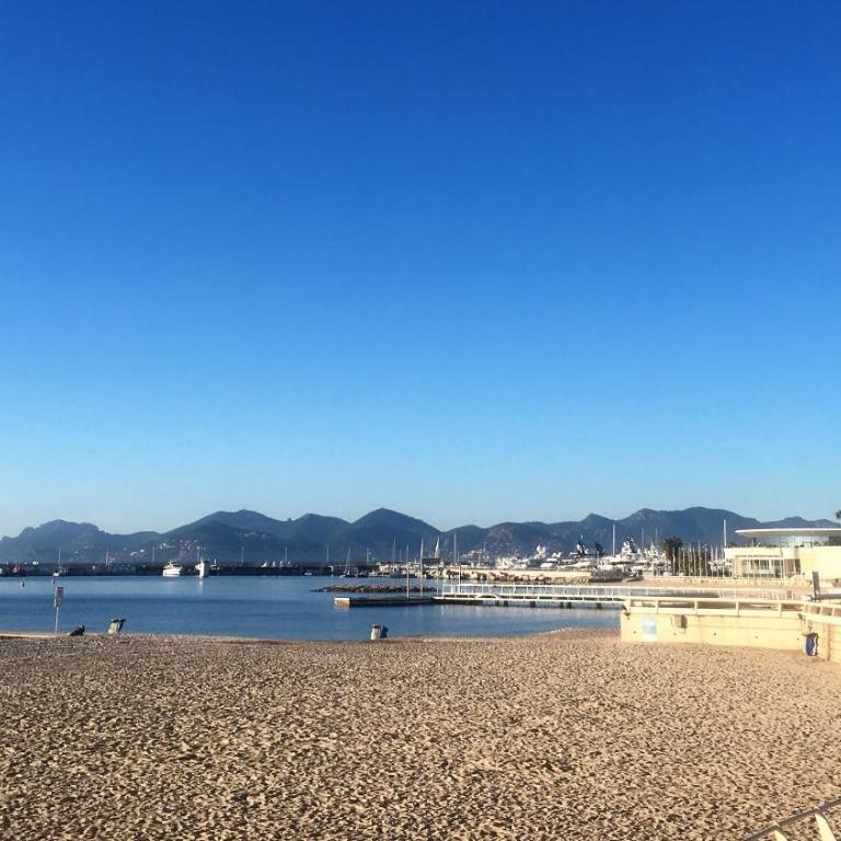 T2 proche de la gare, à 10 minutes à pieds de la Croisette, piscine & parking dans résidence de haut standing - Appartement 1 Chambre - 83