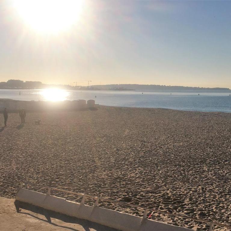 T2 proche de la gare, à 10 minutes à pieds de la Croisette, piscine & parking dans résidence de haut standing - Appartement 1 Chambre - 84
