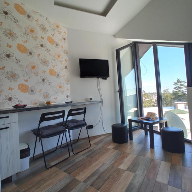 Apartman Studio LASTIN PUT Divčibare - Studio with Mountain View - 6