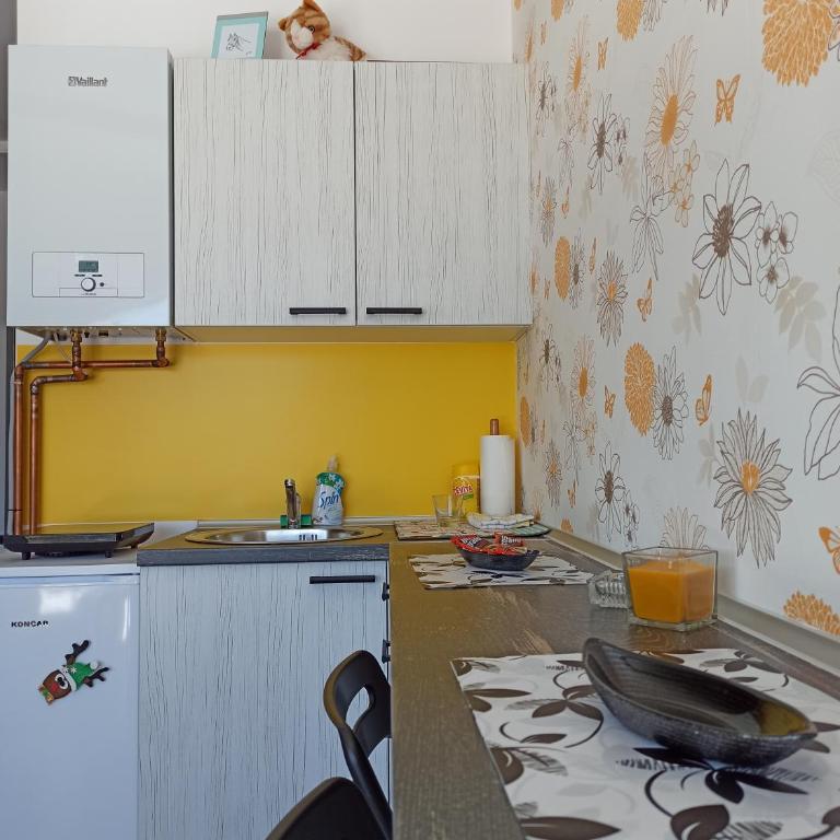 Apartman Studio LASTIN PUT Divčibare - Studio with Mountain View - 10