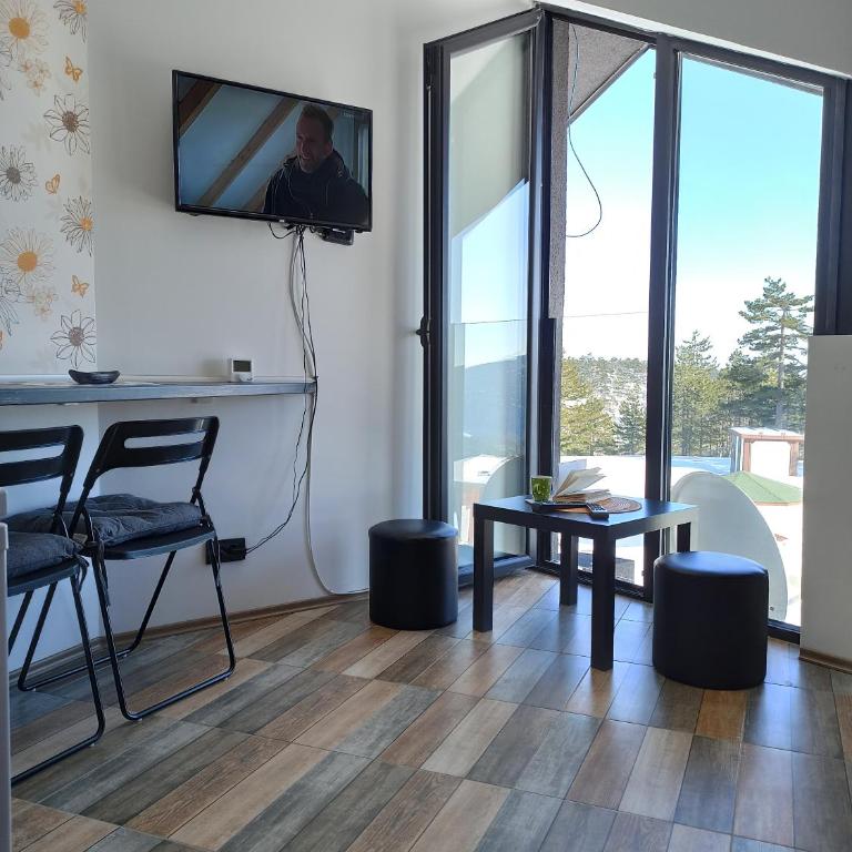 Apartman Studio LASTIN PUT Divčibare - Studio with Mountain View - 7