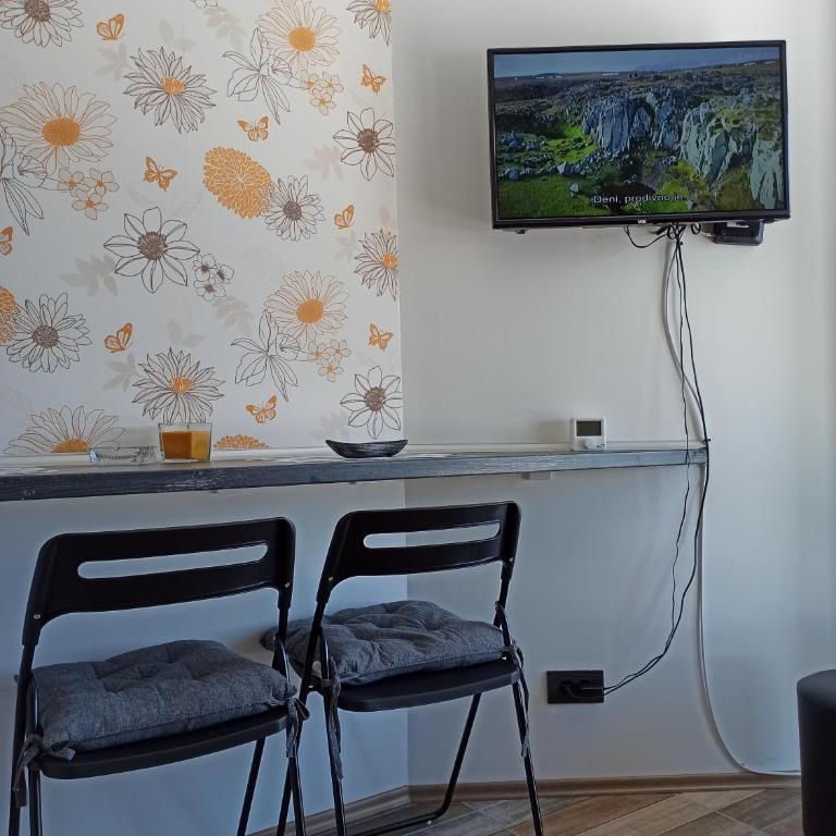 Apartman Studio LASTIN PUT Divčibare - Studio with Mountain View - 4