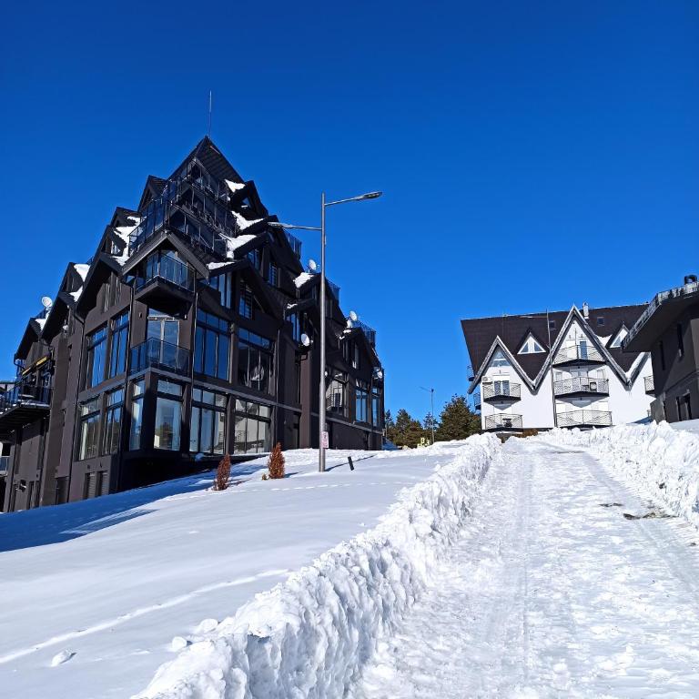 Apartman Studio LASTIN PUT Divčibare - Studio with Mountain View - 36