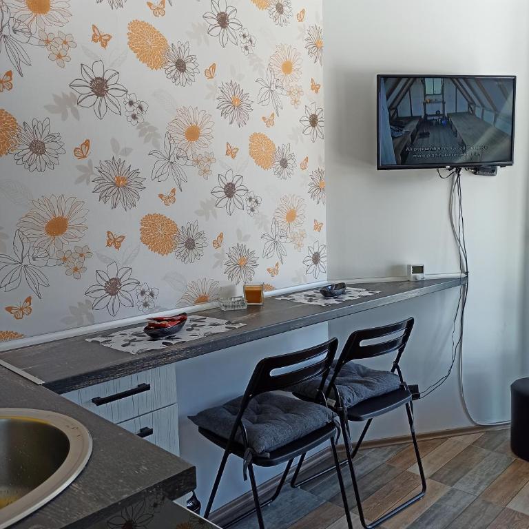 Apartman Studio LASTIN PUT Divčibare - Studio with Mountain View - 5