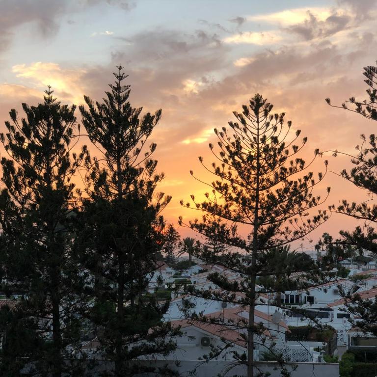 Yumbo Sunset Suite Tanife - Next to Yumbo - Apartamento de 1 dormitorio - 14