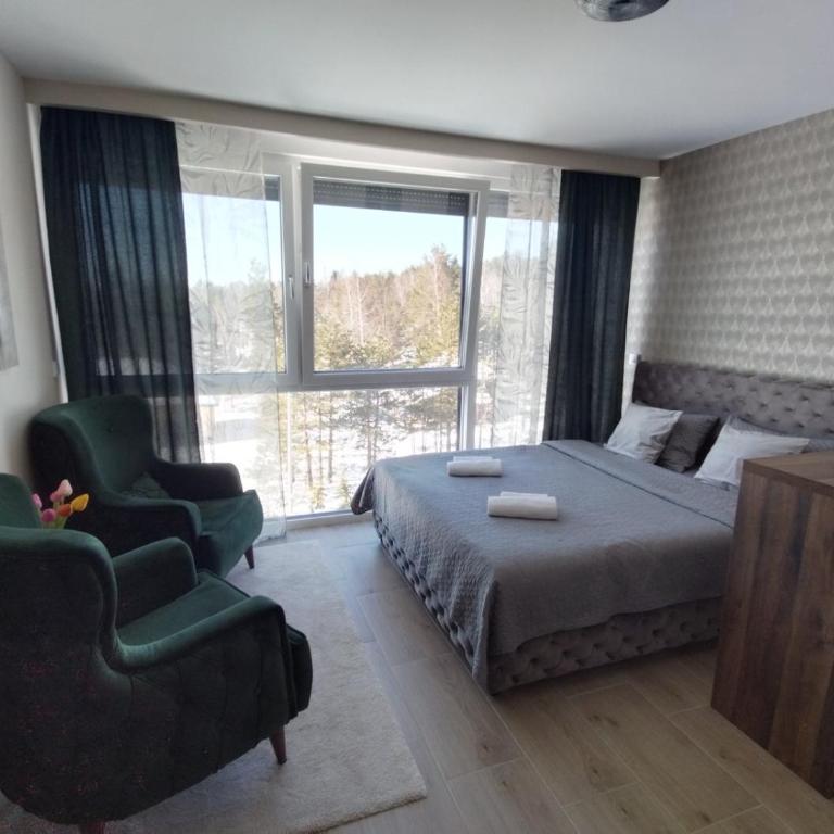 Apartman Ambijent Divcibare - Deluks Studio sa Queen Krevetom - 14
