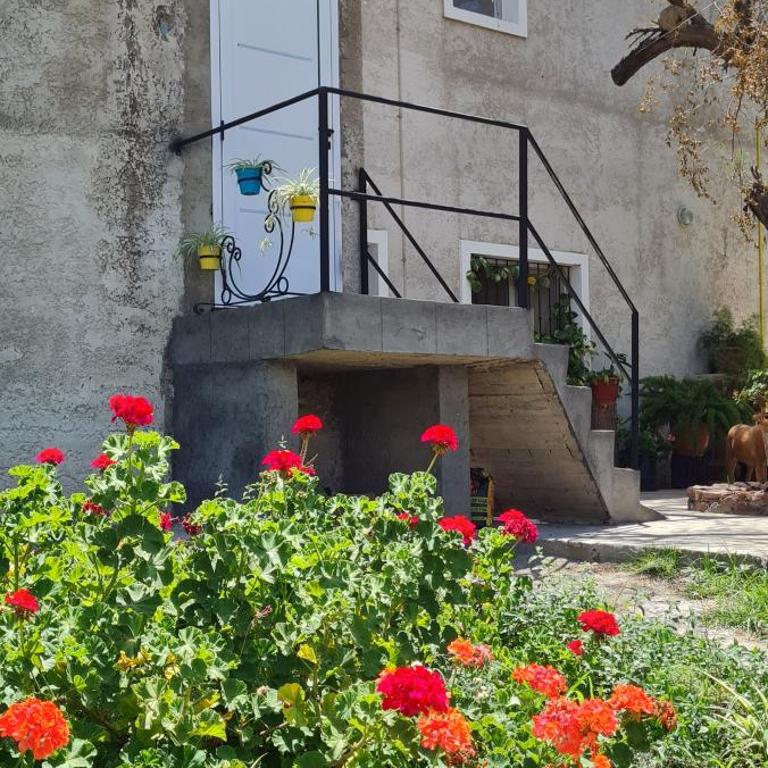 Santa Teresita - Apartamento de 1 dormitorio - 12