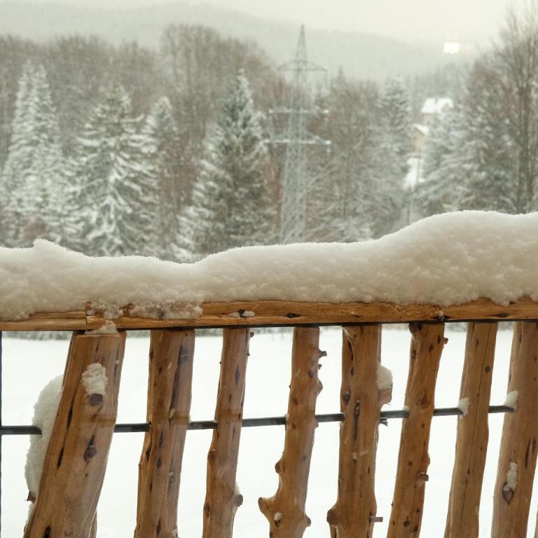 Drvena Kuca RUŽA - Apartman - 9