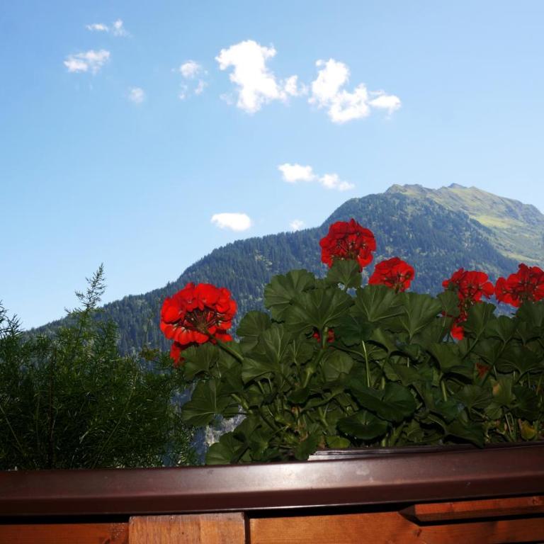 Roasnerhof - Doppelzimmer mit Balkon - 4