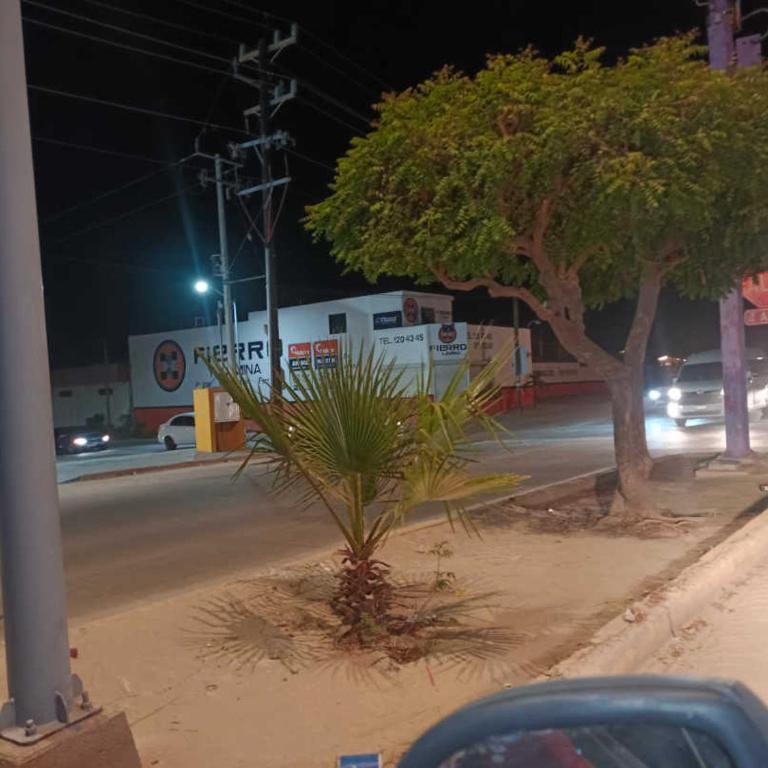 casa agave - Apartment - Ground Floor - 17
