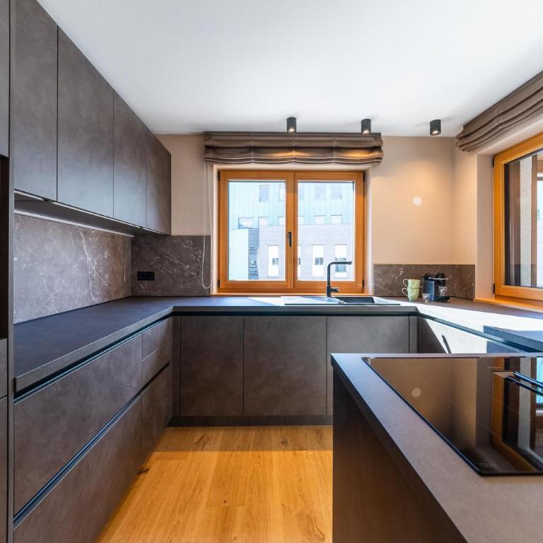 Rienz Alpine City Lofts - Appartamento con Balcone - 9
