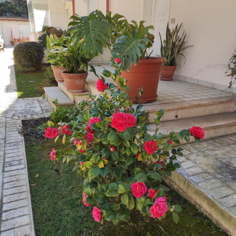 Villino Matilde - Two-Bedroom Apartment - 35