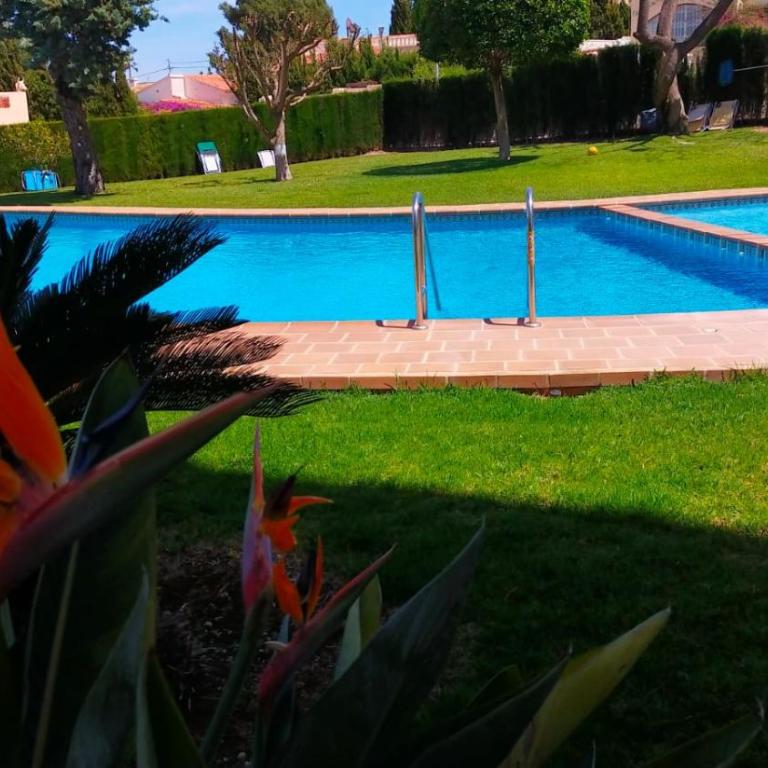 Seaview Dream Albir - Apartamento de 1 dormitorio - 6