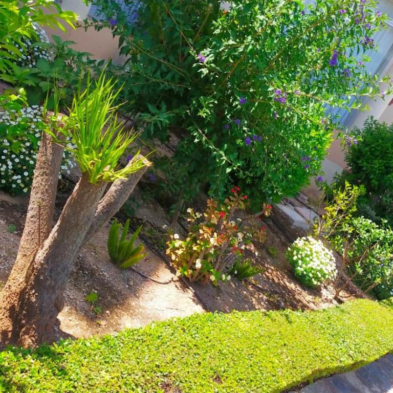 Seaview Dream Albir - Apartamento de 1 dormitorio - 14