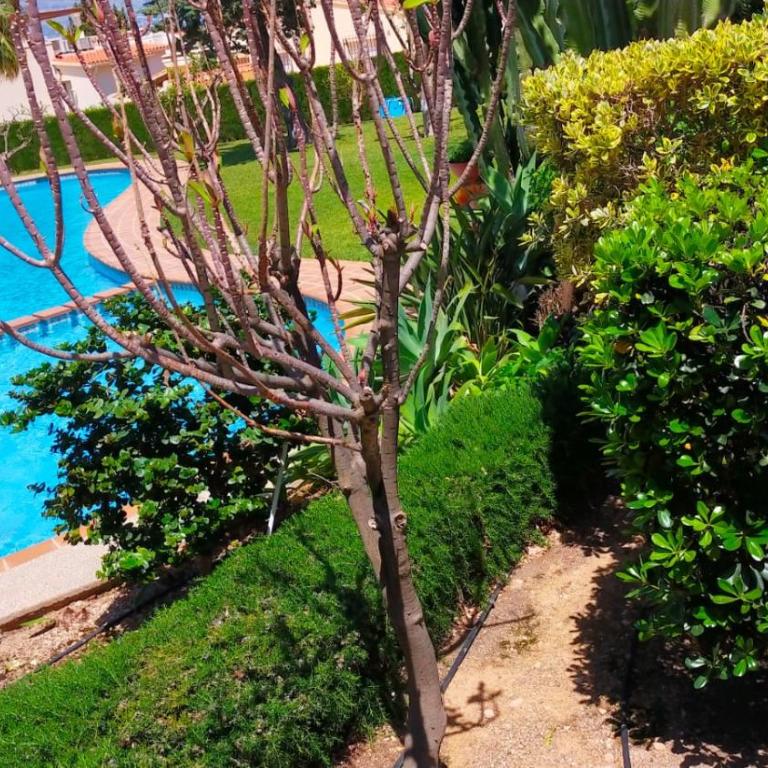Seaview Dream Albir - Apartamento de 1 dormitorio - 9