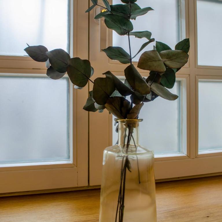 HOMELY STAY Studio 3 - Cozy Self-Check-In Studio in Central Munich - Deluxe Studio mit Queensize-Bett - 8