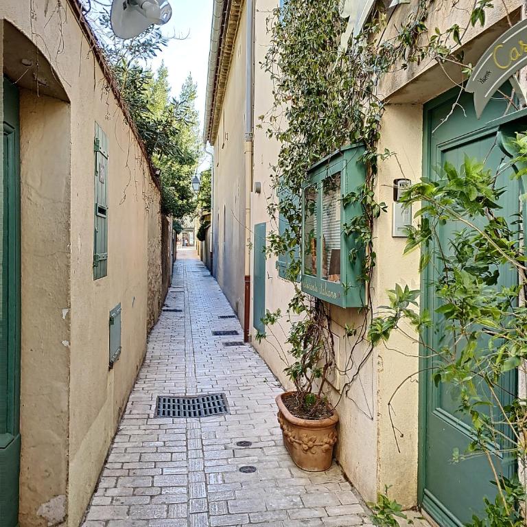 Le Papillon de Saint-Tropez - One-Bedroom Apartment - 3