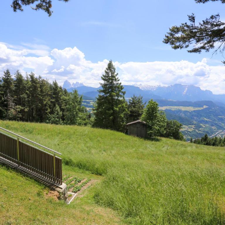Haus Waldruhe - Appartamento con Vista Montagna - 12