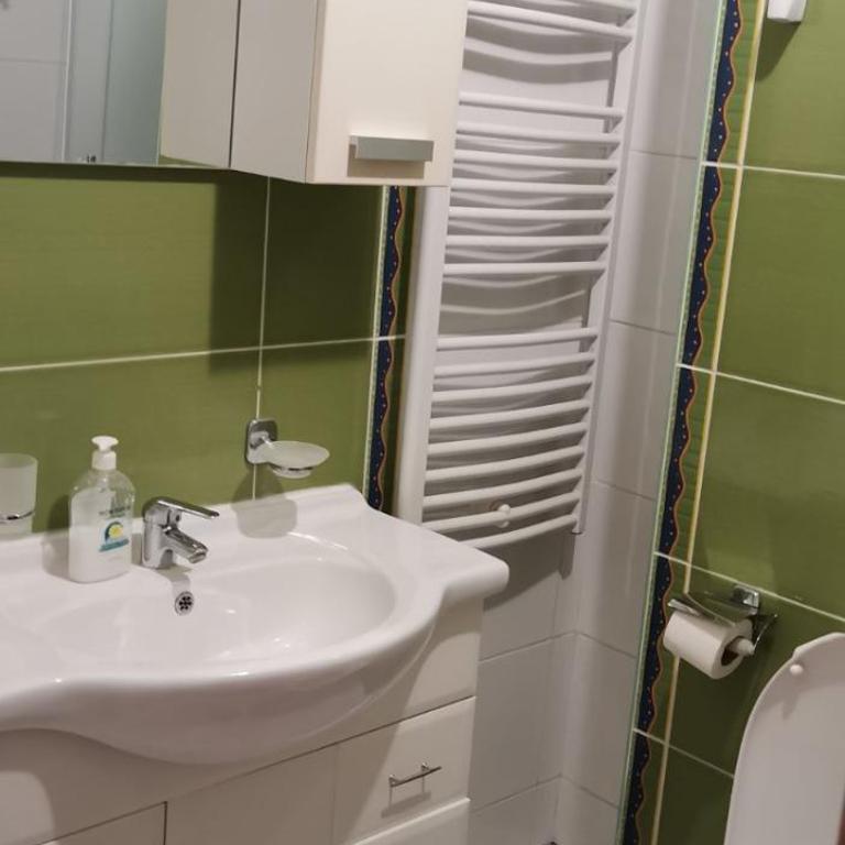 Apartman Benz studio - Apartman sa 1 Spavaćom Sobom - 4