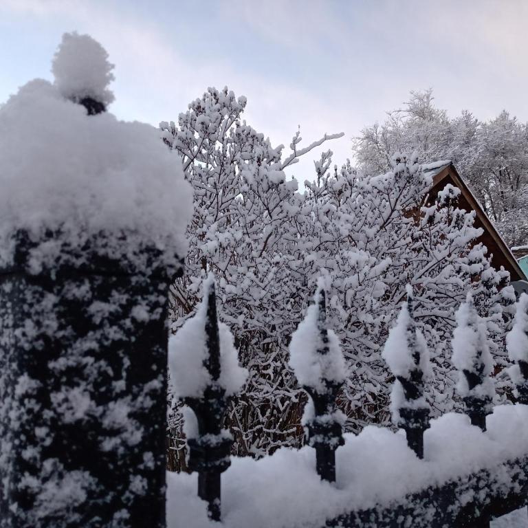 Cabaña Las Lilas - Cabaña con vistas al jardín - 25