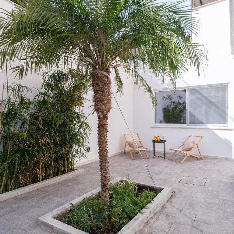 Casa Iole by DomuSicily - Appartement - Vue sur Jardin - 31