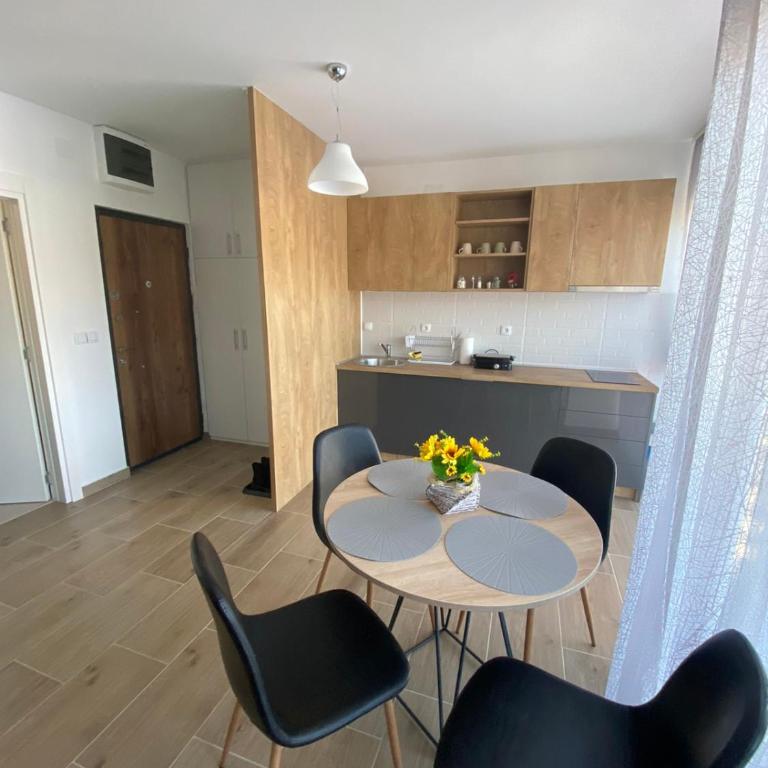 Goga Apartmani - Apartman sa 1 Spavaćom Sobom - 6