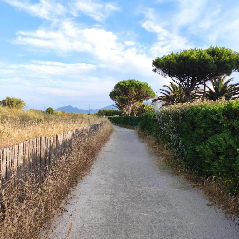 LES CAPITELLES 5 - Accès direct à la plage depuis le jardin - T2 avec cabine - 6 pers - jardin - Piscine - parking - Appartamento con 2 Camere da Letto - 30