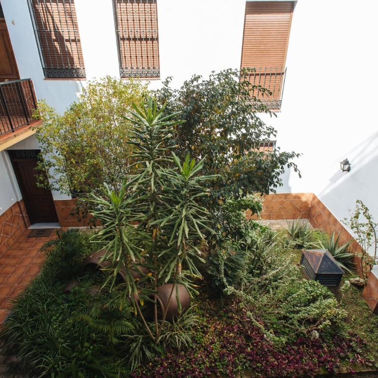 Requena Suite Apartment - Apartamento de 1 dormitorio - 17