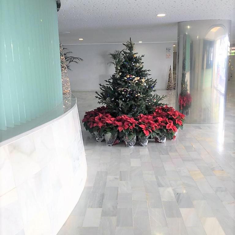 Fantastico piso a 2 minutos andando de la playa - One-Bedroom Apartment with Garden View - 18