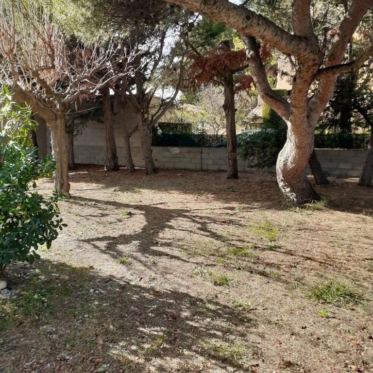 L Orchidée T2 Rdc climatisé jardin parking privé - Appartement - Rez-de-Chaussée - 15