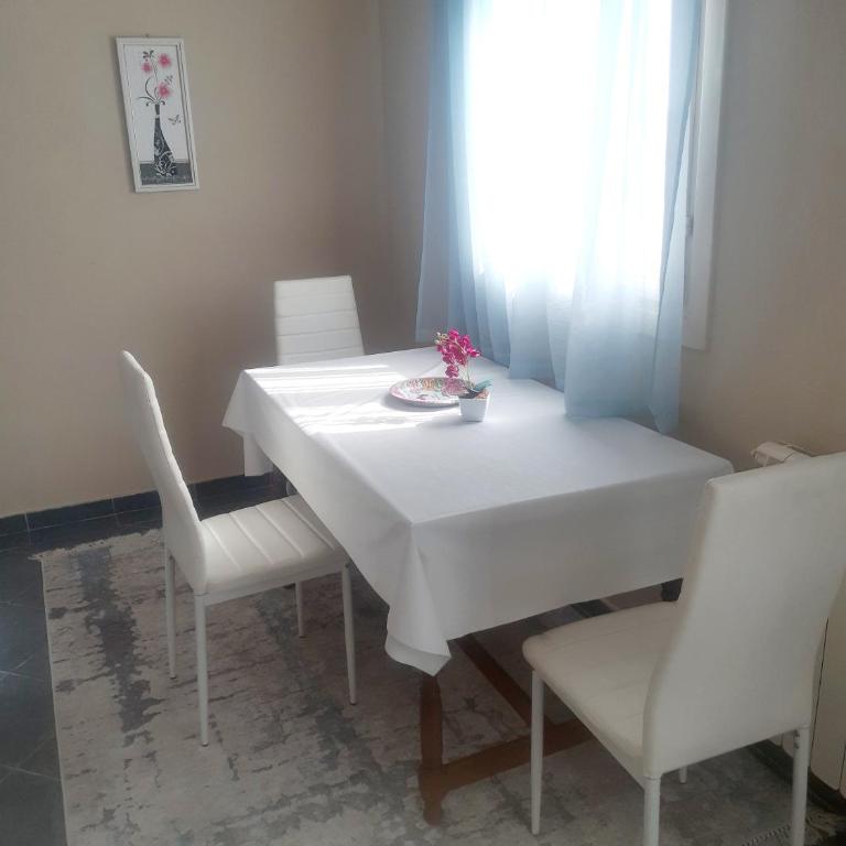 Apartment Podgorica centre - Apartman sa 2 Spavaće Sobe - 14