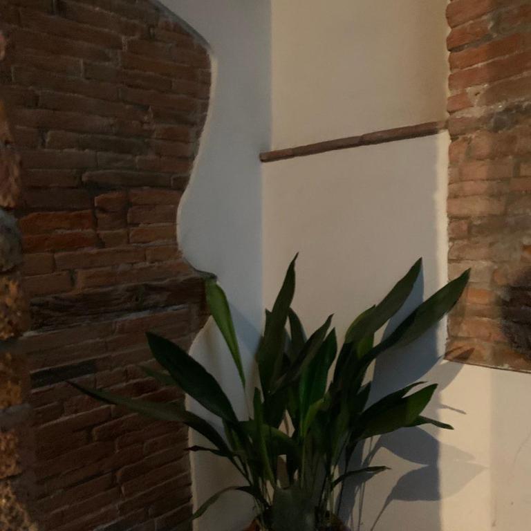 Appartamento Incantevole - Apartamento de 2 dormitorios - 21