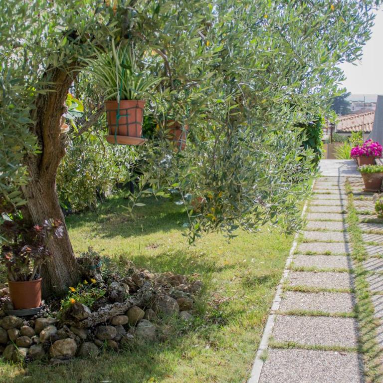 Casa d'aMare - a 600 mt dalla spiaggia - Casa Vacanze - 7