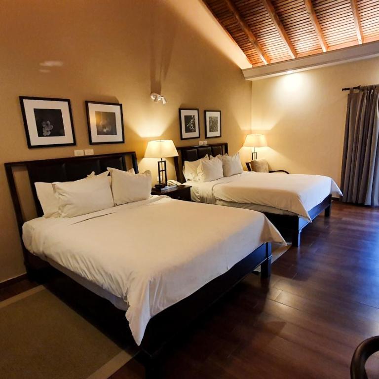 Alta Gracia Parque Hotel - Queen Room with Two Queen Beds - 5