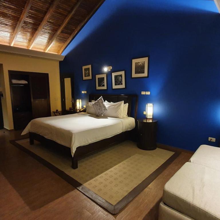 Alta Gracia Parque Hotel - Junior Suite with Balcony - 9