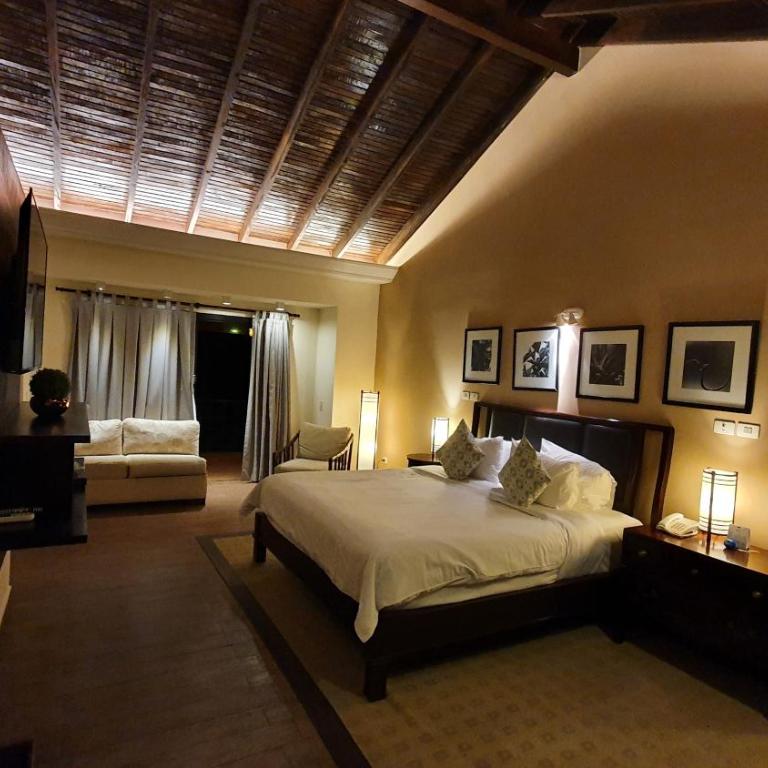 Alta Gracia Parque Hotel - Junior Suite with Balcony - 4